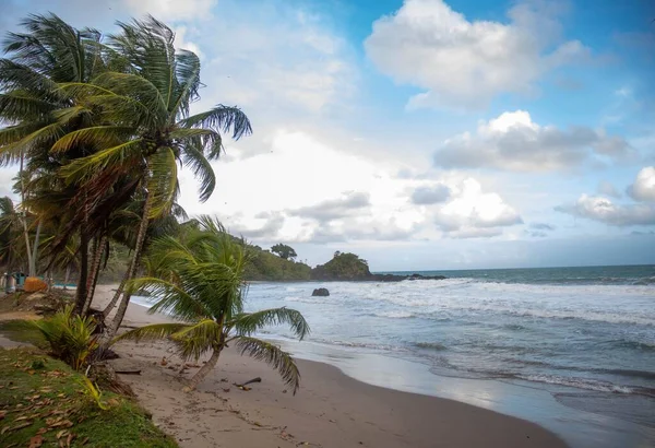 Rüzgarlı Bir Günde Bir Adada Kumlu Bir Sahil — Stok fotoğraf