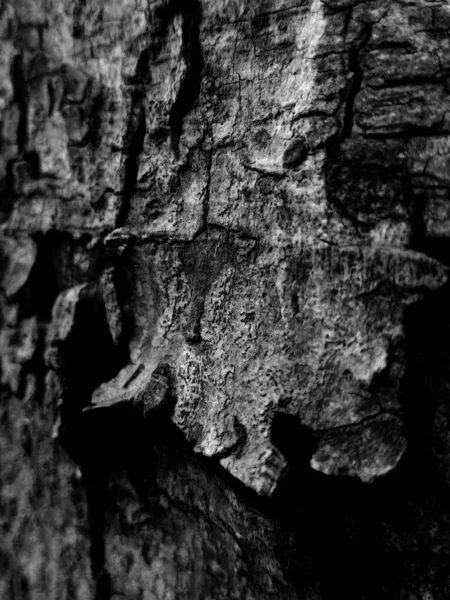 Black Wood Hintergrundbilder Und Hintergründe — Stockfoto