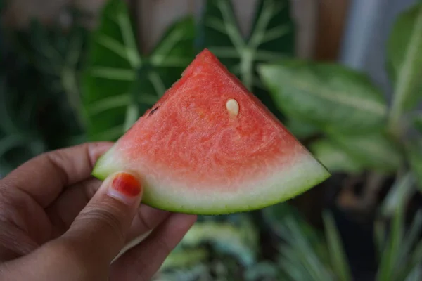 Närbild Kvinna Hand Med Röd Nagellack Hålla Skiva Vattenmelon Hälsosam — Stockfoto