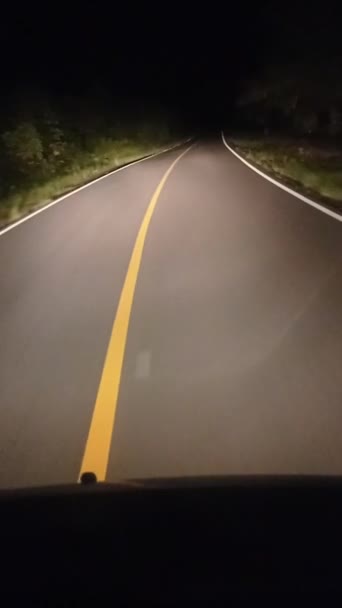 Conducir Solo Las Través Del Camino Del Bosque — Vídeo de stock