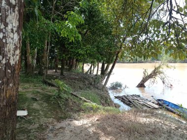 Borneo 'nun merkezindeki küçük bir köyde nehir kenarına bakın.