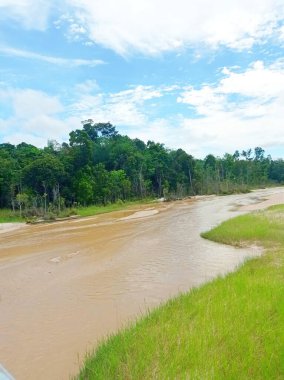 Yerel halkın altın çıkardığı nehir akıntısı