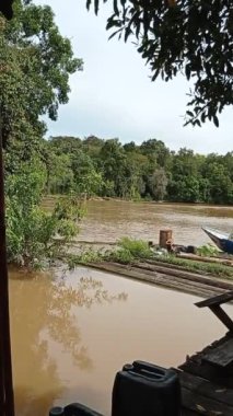 Motorlu tekne kullanan yerel halktan biri orman boşluklarının arasında dere yolundan çıkmış.