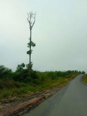 Sabahın 5 'inde, yalnız başına eve giderken.