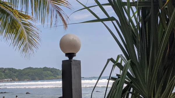 Kumsaldaki lamba güzelmiş.