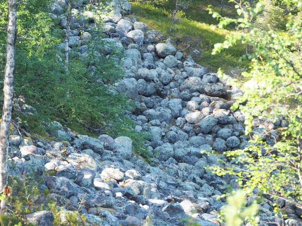 Ormanda taş oluşumu