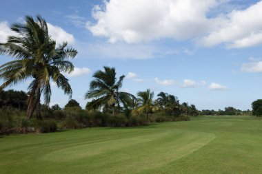 Palmiye ağaçları ve güneşli bir günde bulutlu mavi gökyüzü olan bir golf sahasında güzel bir manzara.