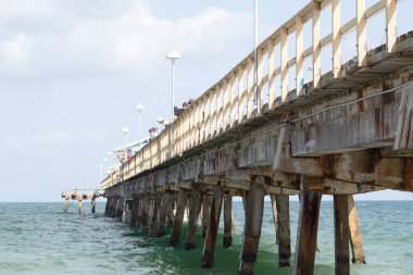 Güneşli bir günde rıhtımda tanınmayan balıkçılar