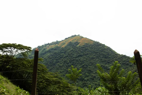 Mountain Covered Many Trees Vegetation Foreground Moving Fence Colombia — 图库照片