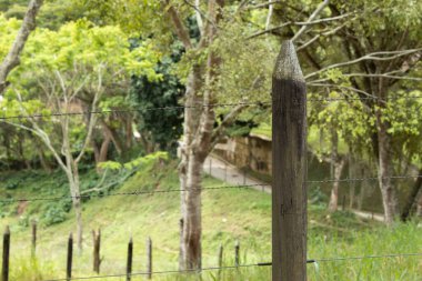 A stake part of a fence with lots of vegetation in the background on a sunny day