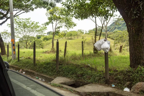 Trash Hanging Fence Abundant Vegetation Background More Garbage Ground Seen — Stockfoto