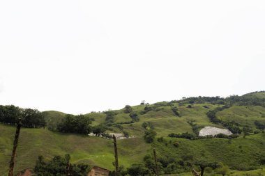 Very green Colombian mountains with a white sky in the background