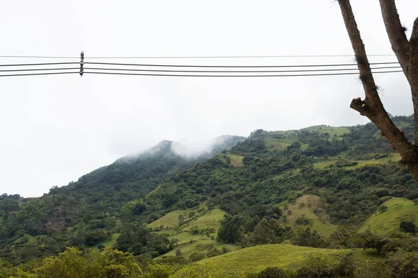 Mountains Abundant Vegetation White Sky Background Electric Cable Foreground — 스톡 사진