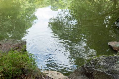 Rocks on the shore of a lake with ripples in the water and reflections of trees