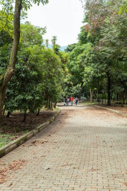 Pedestrian path surrounded by trees with unrecognizable people walking in the background during a sunny day