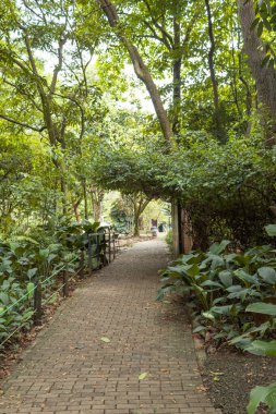 A concrete path surrounded by lots of greenery during a sunny day