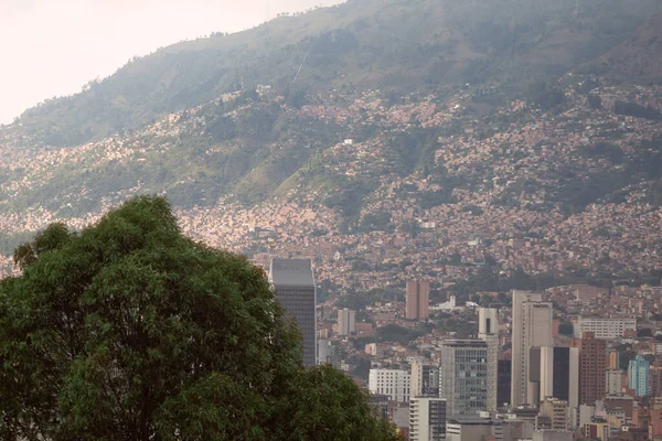 A city built on a mountain with a tree in the foreground