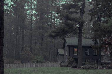 Korkunç bir ormanda büyük bir ev. Massachusetts, ABD.