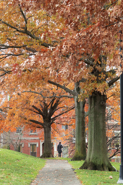 An unrecognizable woman at the end of a path surrounded by trees with orange leaves in autumn.
