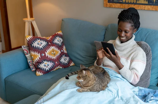 Young Woman Petting Beautiful Tabby Cat While Sitting Sofa Reading Royalty Free Stock Photos
