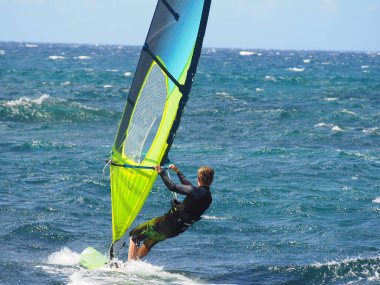 Pasifik Okyanusu 'ndaki beyaz yüzgeçli rüzgar sörfçüleri