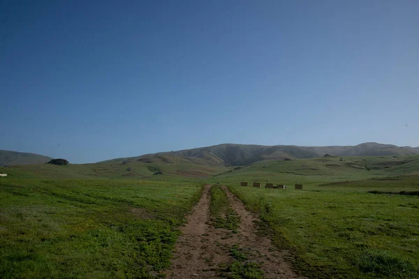 Rolling Green Hills Country Road California Landscape Scenic Beautify Scenery —  Fotos de Stock