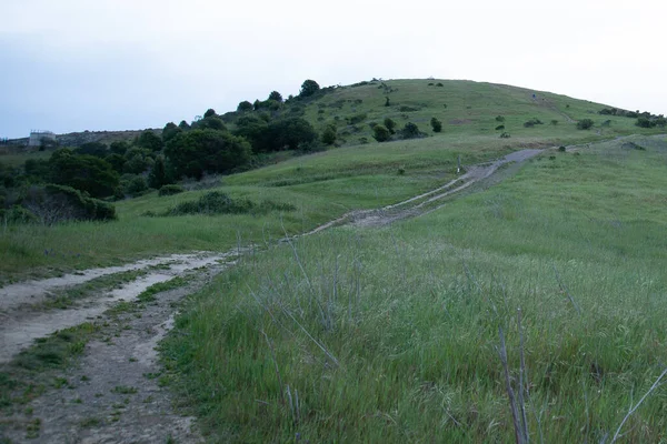 Uphill Dirt Path Beautiful Green Calm — 图库照片