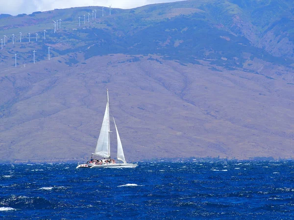 Beautiful Blue Water Sailboat Cresting Waves — Stock Photo, Image