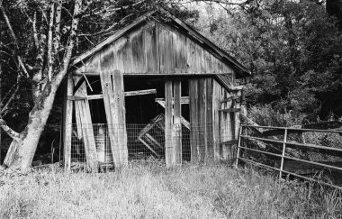 Rustic wooden shack retro farming rural