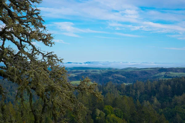 Sonoma County Green Valley Clouds — Fotografia de Stock