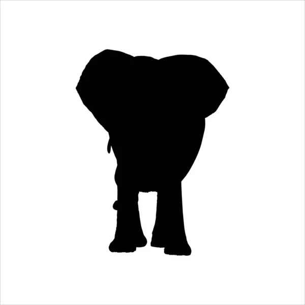 Elephant Silhouette Illustration Logo Graphic Design Element 사기적 — 스톡 벡터