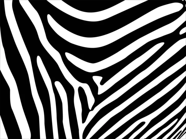 Zebra Motifs Pattern Série Animal Print Illustration Vectorielle — Image vectorielle