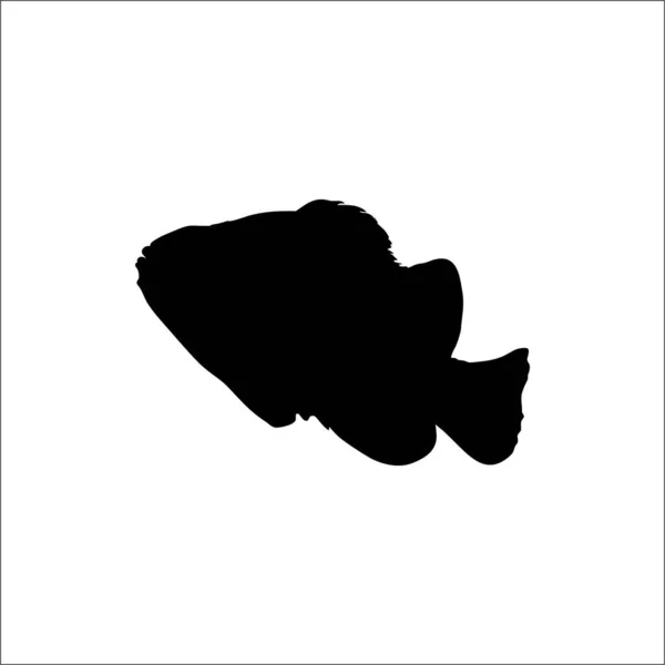 Ocellaris Clownvis Pomacentridae Silhouet Voor Logo Graphic Design Element Vector — Stockvector