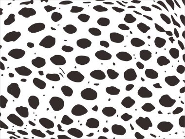 Çita, Leopar ya da Jaguar (Büyük Kedi Ailesi) Motifler. Hayvan Baskı Serisi. Vektör İllüstrasyonu 