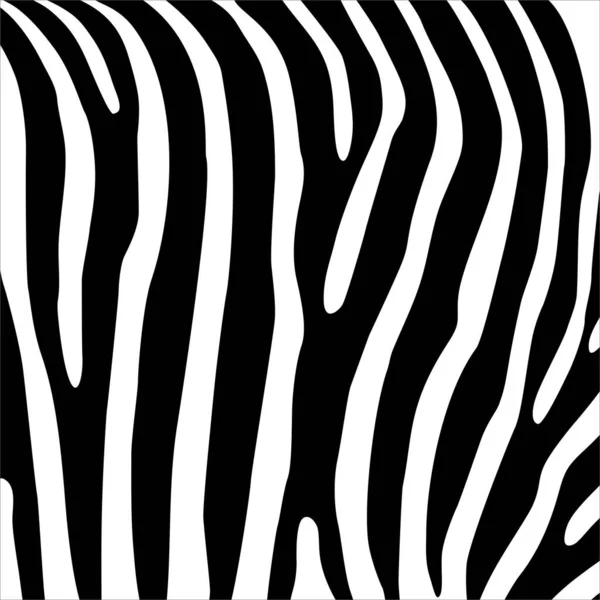 Zebra Motifs Pattern Série Animal Print Illustration Vectorielle — Image vectorielle