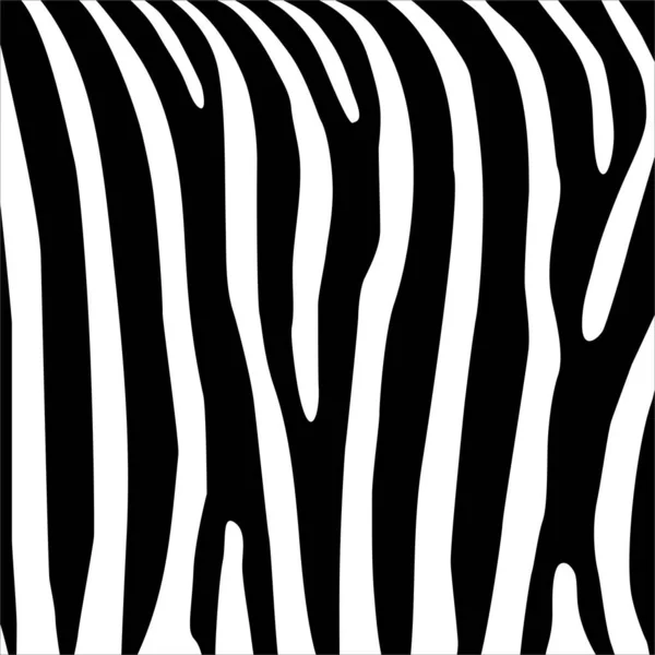 Zebra Motifs Pattern Animal Print Series Vector Illustration — Stock Vector