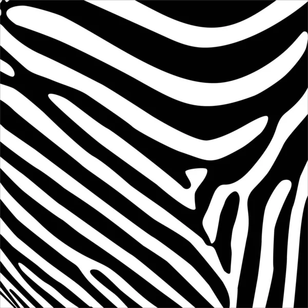 Patrón Motivos Cebra Serie Animal Print Ilustración Vectorial — Vector de stock
