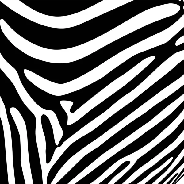 Zebramuster Animal Print Serie Vektorillustration — Stockvektor