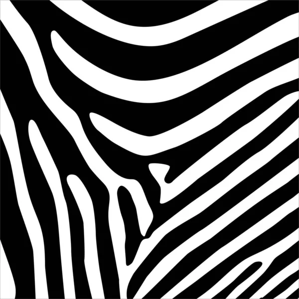 Patrón Motivos Cebra Serie Animal Print Ilustración Vectorial — Archivo Imágenes Vectoriales