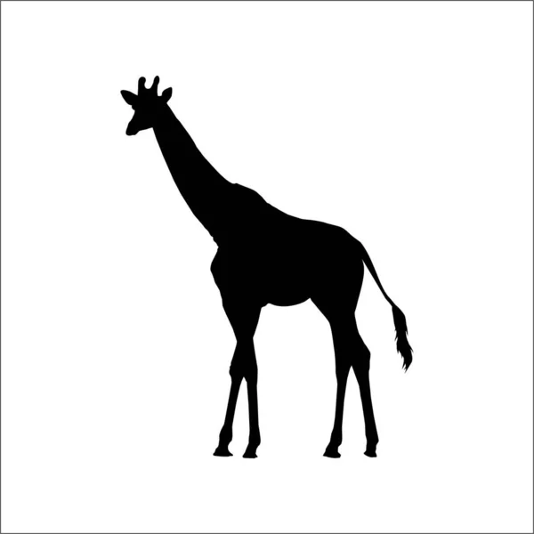 Silhouette Giraffa Logo Elemento Grafico Illustrazione Vettoriale — Vettoriale Stock