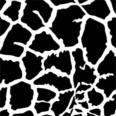 Siyah ve Beyaz Zürafa Motifleri. Hayvan Baskısı Serisi. Vektör İllüstrasyonu