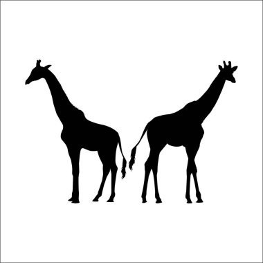 Logo ya da Grafik Tasarım Elementi için bir çift zürafa silueti. Vektör İllüstrasyonu