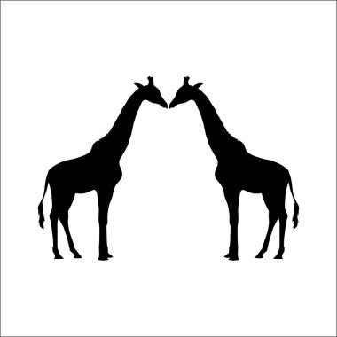 Logo ya da Grafik Tasarım Elementi için bir çift zürafa silueti. Vektör İllüstrasyonu