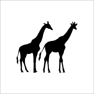 Logo ya da Grafik Tasarım Elementi için bir çift zürafa silueti. Vektör İllüstrasyonu