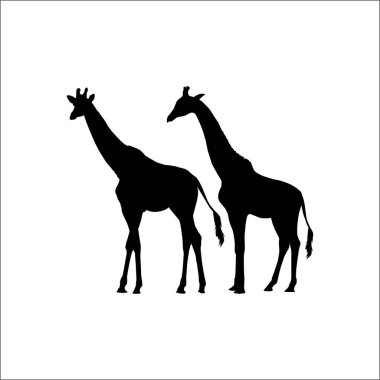 Logo ya da Grafik Tasarım Elementi için bir çift zürafa silueti. Vektör İllüstrasyonu