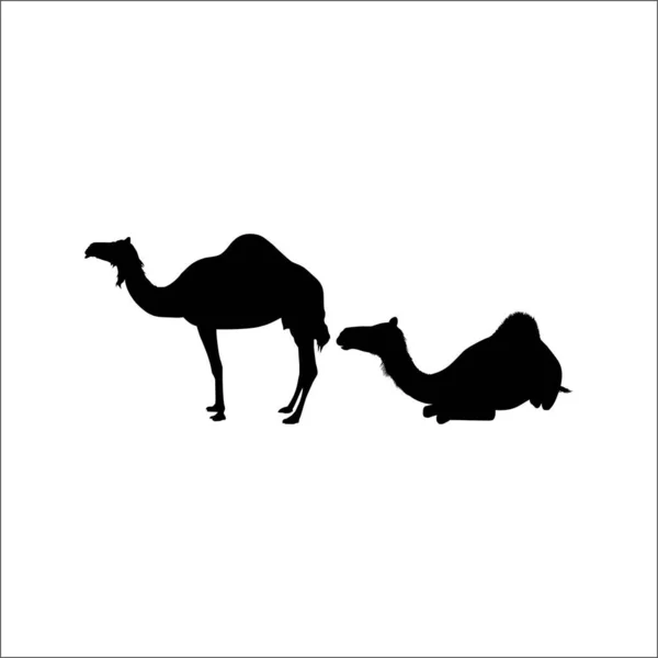 Een Paar Camel Silhouet Voor Logo Graphic Design Element Vector — Stockvector