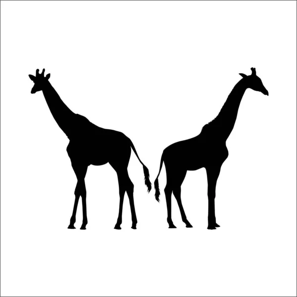 Dvojice Siluet Žirafy Pro Logo Nebo Prvek Grafického Designu Vektorová — Stockový vektor