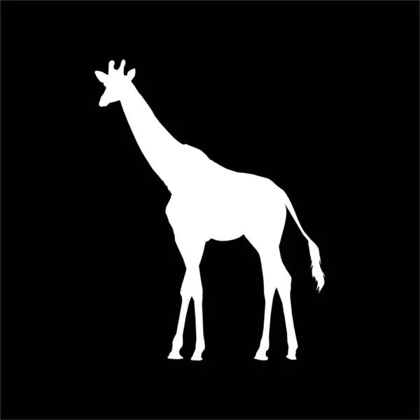 Żyrafa Silhouette Logo Graphic Design Element Ilustracja Wektora — Wektor stockowy