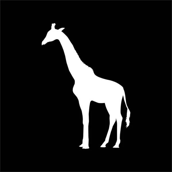 Żyrafa Silhouette Logo Graphic Design Element Ilustracja Wektora — Wektor stockowy