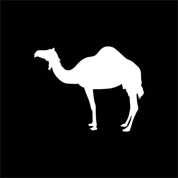Silueta Camel Para Logo Elemento Diseño Gráfico Ilustración Vectorial — Vector de stock